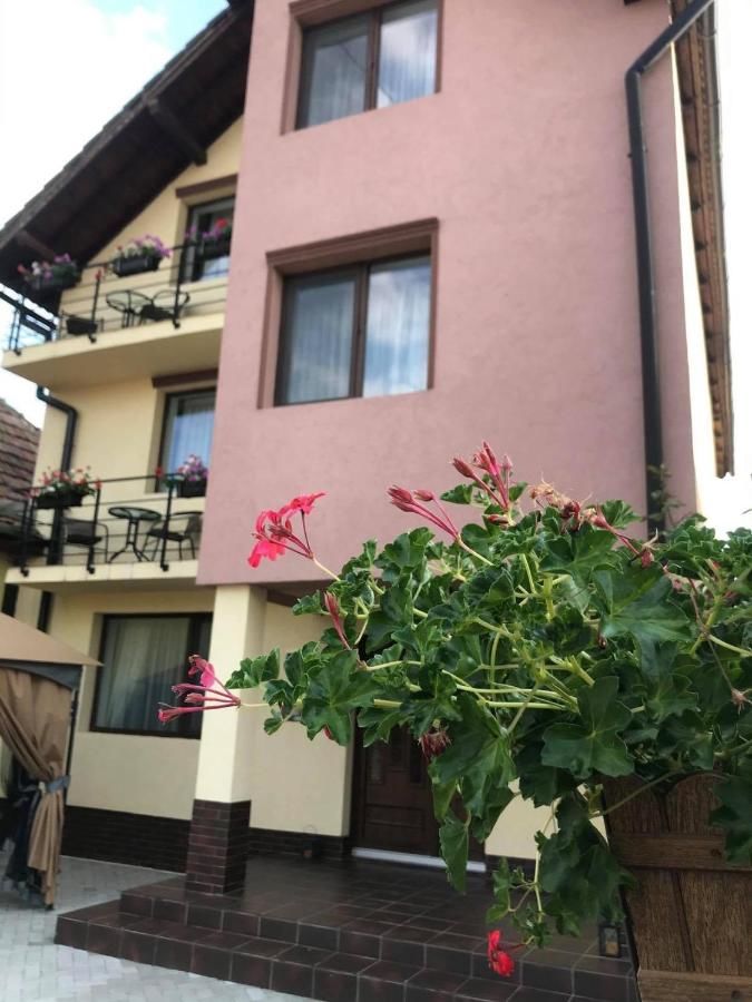 Проживание в семье Casa Mos Сибиу-5