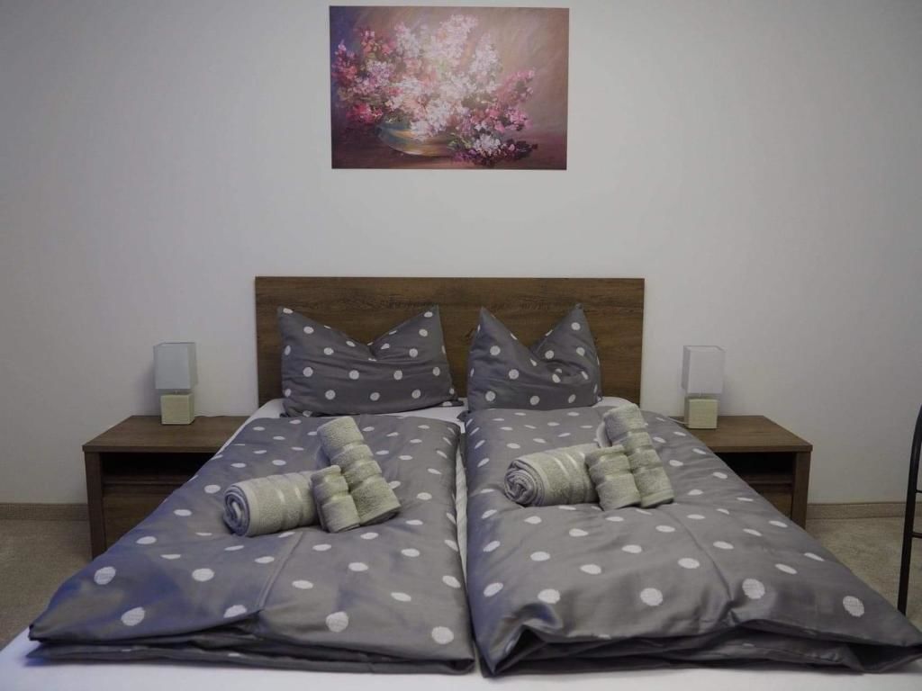 Проживание в семье Casa Mos Сибиу-37