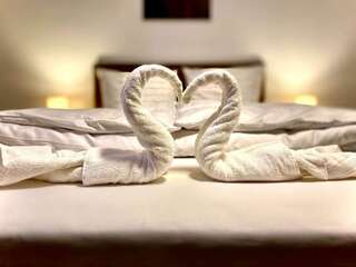 Проживание в семье Casa Mos Сибиу Стандартный двухместный номер с 1 кроватью и общей ванной комнатой-1