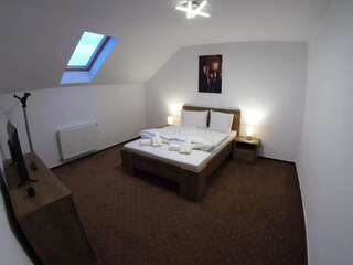 Проживание в семье Casa Mos Сибиу Стандартный двухместный номер с 1 кроватью и общей ванной комнатой-25