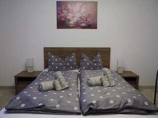 Проживание в семье Casa Mos Сибиу Стандартный двухместный номер с 1 кроватью и общей ванной комнатой-4